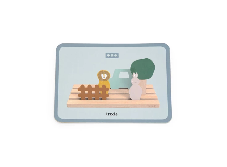 Wooden-spatial-insight-game