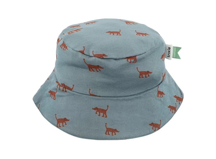 Zonnehoedje-3-j-Playful-pup