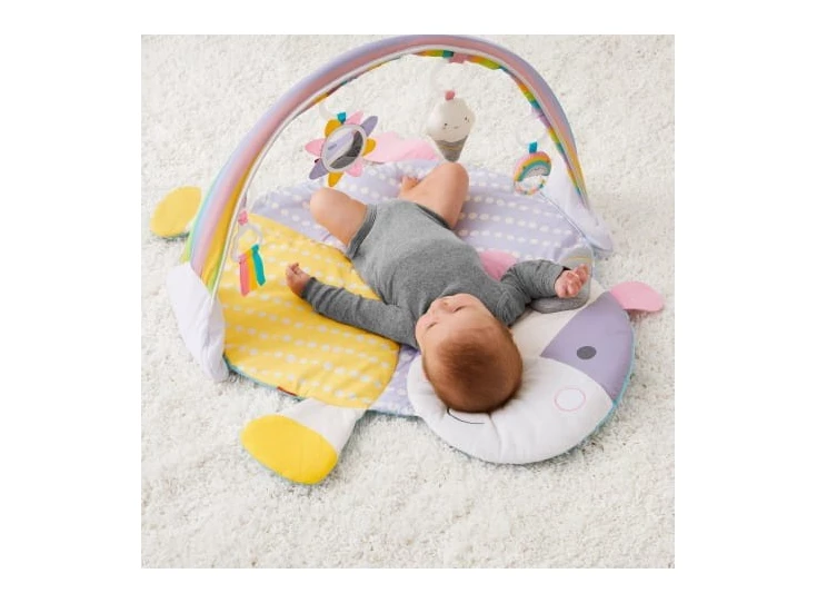 Zoo-Activity-Gym-Unicorn